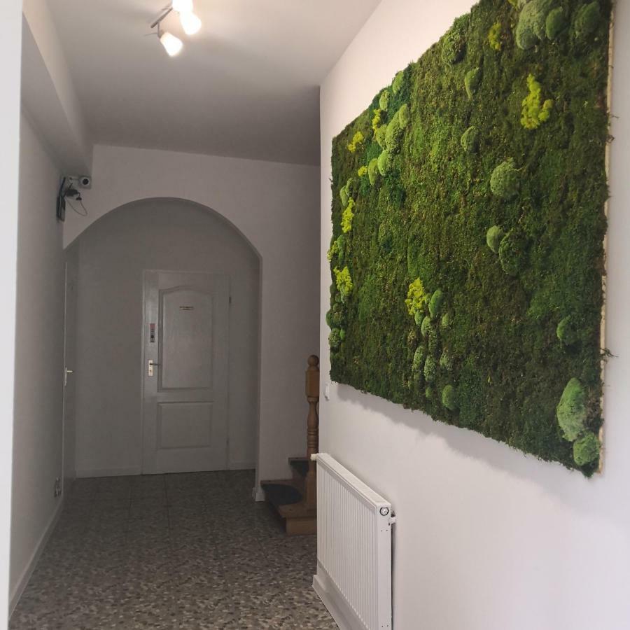 Las Dwa Trzy Ośno Lubuskie Dış mekan fotoğraf
